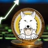 exitliquidity8's profile picture. Crypto 🔥NFTs🔥 I’m hear to make money #SaitamaOnSol 🐺