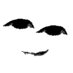 あなたのためを思って (@4usake) Twitter profile photo あなたのためを思って (@4usake) Twitter profile photo