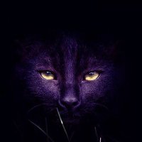 Таня (@tanyarok2) 's Twitter Profile Photo Таня (@tanyarok2) 's Twitter Profile Photo