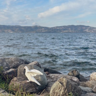 hooj87's profile picture. 