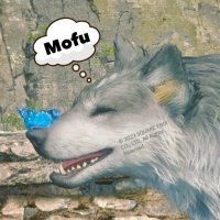Mofu @トルガルといっしょ (@torgal_mofumofu) 's Twitter Profile Photo Mofu @トルガルといっしょ (@torgal_mofumofu) 's Twitter Profile Photo