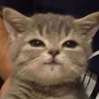 /dev/ππ―πΌπ―ππ°πΌπΉ (@zhahriar) 's Twitter Profile Photo /dev/ππ―πΌπ―ππ°πΌπΉ (@zhahriar) 's Twitter Profile Photo