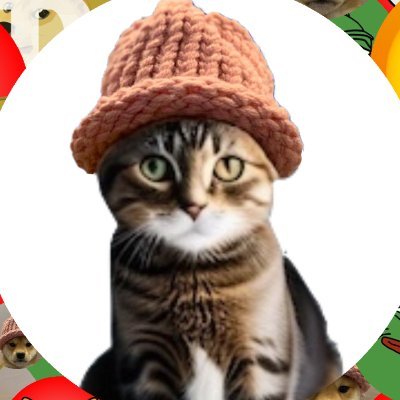 CWIF_SATOSHI's profile picture. $CWIF COLLECTOR BITCOIN BELIEVER

The HATTEST cat on Solana, wif a 4% auto-burn