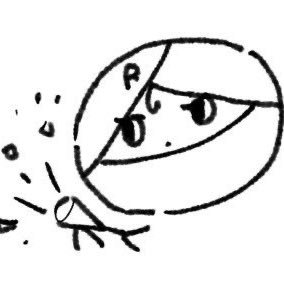 さきさんのプロフィール画像