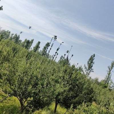 cas84673159's profile picture. ....