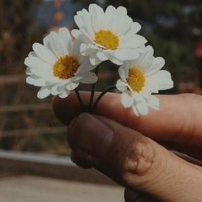 bangtanana613's profile picture. 