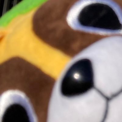 かびぱんさんのプロフィール画像