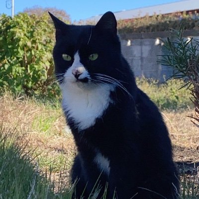 OvNXvMf4B173135's profile picture. 