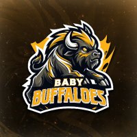 𝗕𝗔𝗕𝗬 𝗕𝗨𝗙𝗙𝗔𝗟𝗢𝗘𝗦 (@babybuffaloes) Twitter profile photo