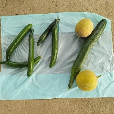 eat_the_reach's profile picture. Η ζωή είναι μικρή,για να είναι θλιβερή!