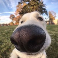 manoel (@manxxoel) 's Twitter Profile