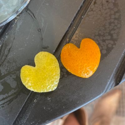 annquigleydus's profile picture. 