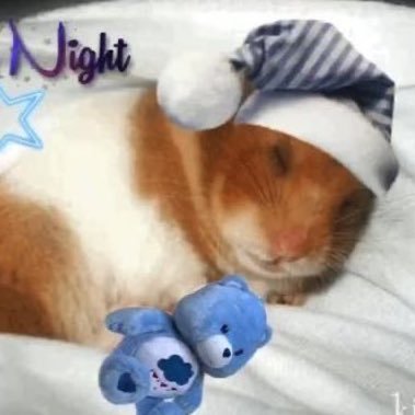 juliapepecao's profile picture. ˚✧₊⁎ | ʚ♡⃛ɞ | ⁎⁺˳✧

penpencas♡