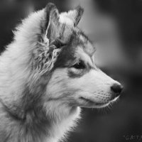 G&T Photography (@g_t_photography) 's Twitter Profile