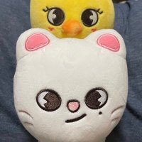 直 (@bacat3030) 's Twitter Profile