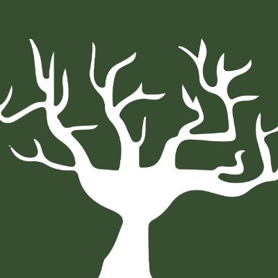 melaniongreen's profile picture. 🌍 Pioneering sustainable tech at Melanion GreenTech—driving profitable, eco-friendly innovations.