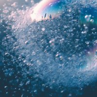 𝓼𝓪𝓬𝓻𝓮’ (@gyutan_sio) 's Twitter Profile