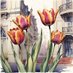 Jovana (@tulip_twist) Twitter profile photo Jovana (@tulip_twist) Twitter profile photo