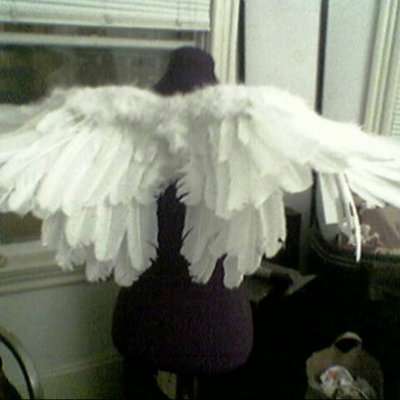 awsia6's profile picture. 