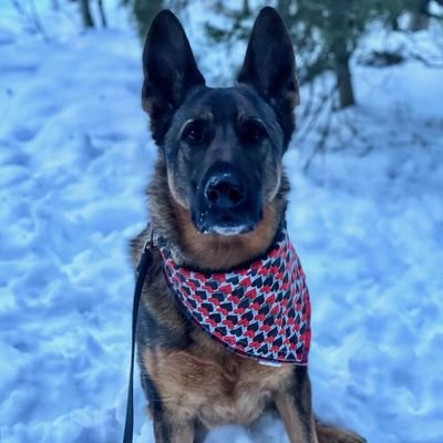 Retired military, prior combat Marine, dedicated patriot.
