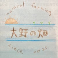 大野家 大野の畑 (@oonoya_hatake) 's Twitter Profile Photo 大野家 大野の畑 (@oonoya_hatake) 's Twitter Profile Photo