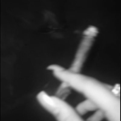 bingbong20011's profile picture. 