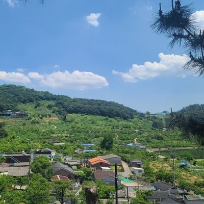 40대 가장이고, 두 아들을 키우고 있으며, 다재 다능을 꿈꾸며 새로운 것을 보고 배우고 있습니다. 시간이 많이 걸리겠지만 꾸준함으로 도전하려 합니다.