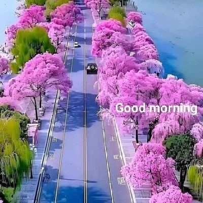 anandvinodadvo1's profile picture. 