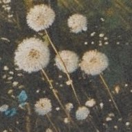 ccgghyw's profile picture. 