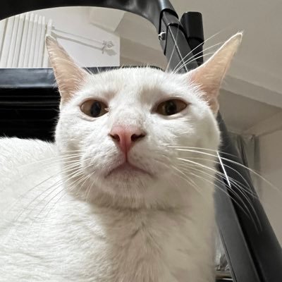 sanduo520's profile picture. 