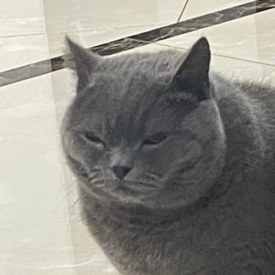 SevenSuperbo's profile picture. 冲2500，必回，100%