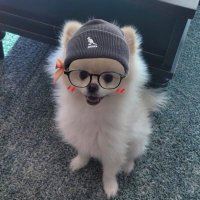 마루 (@marueon) 's Twitter Profile Photo 마루 (@marueon) 's Twitter Profile Photo