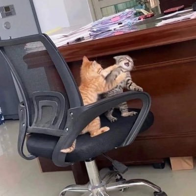 samarth40154's profile picture. 