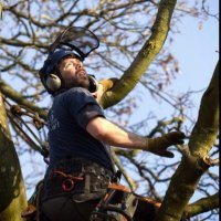 Specialised Tree Service (@robjsaxon) 's Twitter Profile
