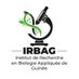 Institut de Recherche en Biologie Appliquée Guinée (@irbagguinee) Twitter profile photo Institut de Recherche en Biologie Appliquée Guinée (@irbagguinee) Twitter profile photo