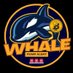 Whale Pump Alert (@whalepumpaler) Twitter profile photo Whale Pump Alert (@whalepumpaler) Twitter profile photo
