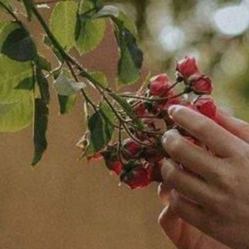 تابع يتابعك 
مردودة لاجميع 👈👈👈👈@LqMjNLkjjXu9Yux