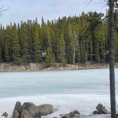 mellowmoood's profile picture. 