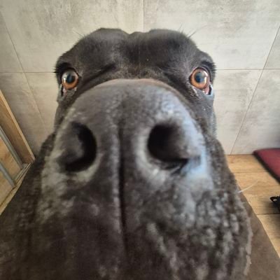 Kodak_mk's profile picture. ♡ | 19yo | she/her | ☆if someone hates you without reason, give them one☆ |