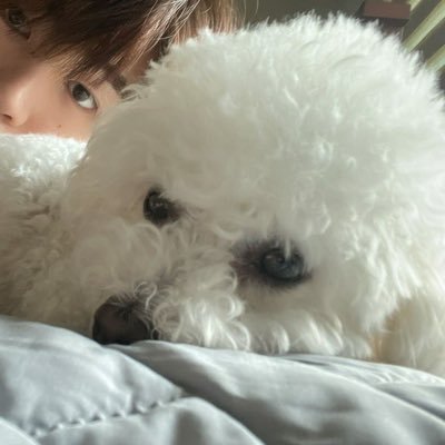 alyssyfouu's profile picture. 