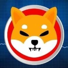 FumbleF16855's profile picture. #Bitcoin-only pleb // nostr:fumblebtc@cashu.me 

#freePalestine // #freeAssange // #freeRoss // #bitcoin4Palestine // 🇬🇧 🇵🇸 🏴‍☠️🥄🔻🍉🍄