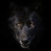 agresif 2 (@neslihan_t15622) Twitter profile photo agresif 2 (@neslihan_t15622) Twitter profile photo