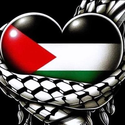 abdel_mim's profile picture. 