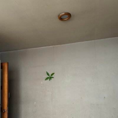 フットワーク軽め🗾 大滝さん水丸さん八大さん和田さん諸々を追いかけていました 音が鳴っているところにいます 生きている喜び