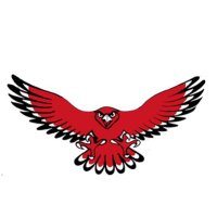 DWFalcons_Strength (@dw_strength) 's Twitter Profile Photo DWFalcons_Strength (@dw_strength) 's Twitter Profile Photo