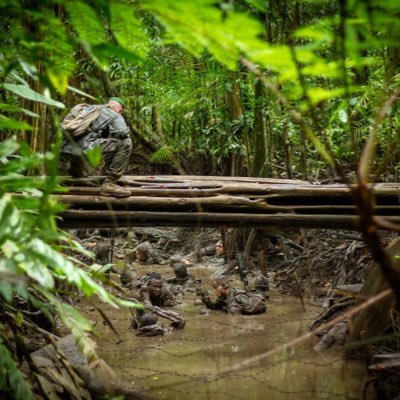 Sbw2's profile picture. Breton de souche, NON aux migrants, je vomis la politique actuelle. Potius mori quam foedari