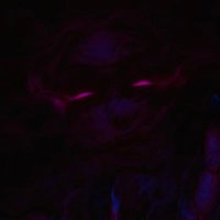 `✦ˑ ִֶ 𓂃⊹ 𝒥𝒰𝒮𝒯 𝒜 𝒟𝑅𝐸𝒜𝑀 . (@daretoperceive) 's Twitter Profile