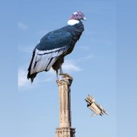 El descubrimiento de Europa 🇵🇸 (@deseuropa_) 's Twitter Profile Photo El descubrimiento de Europa 🇵🇸 (@deseuropa_) 's Twitter Profile Photo