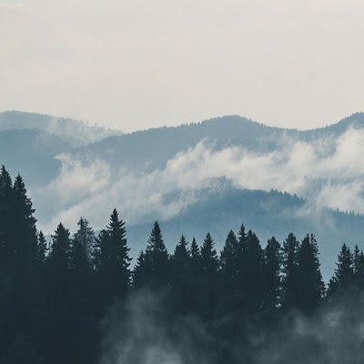 wenzhangwuwo's profile picture. 