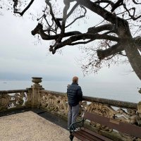 Newy (@newyinvests) 's Twitter Profile